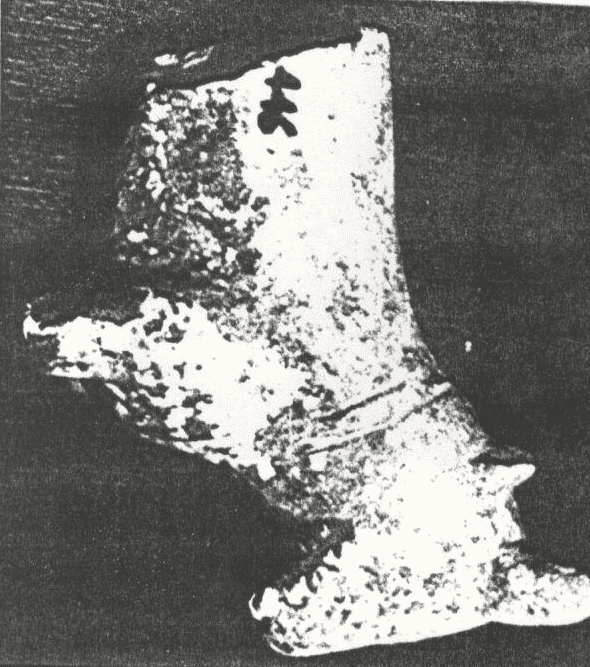 تمثال حيواني
